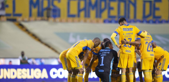 Equipo Tigres 