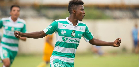 Joao Maleck