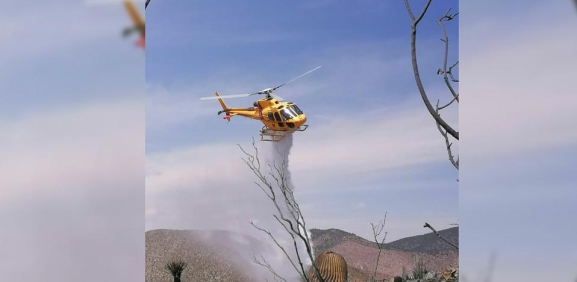 Controla Protección Civil tres incendios forestales en Nuevo León  