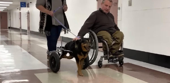  Hombre con discapacidad adopta a perrito en silla de ruedas 