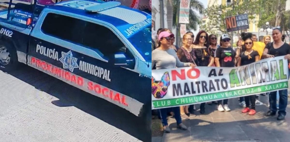 En Oaxaca, policías arrollan a perro; activistas piden justicia 