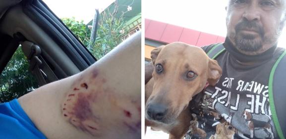 Viral. Hombre rescata a perrita de la calle; lo atacó antes 