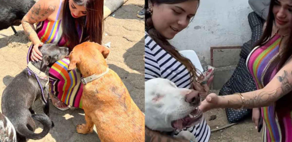 Karely Ruiz llora al visitar refugio de perritos y gesto se hace viral