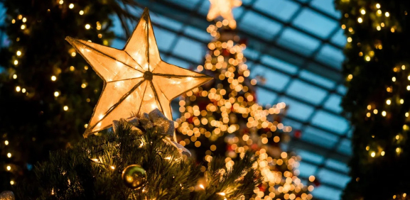 ¿Sabes qué significa la estrella en el árbol de Navidad?