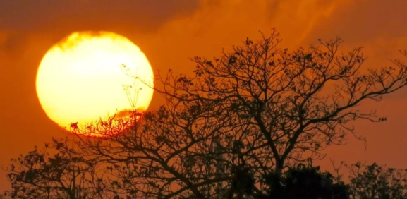 Este es el día en que comienza el verano 2025 en México