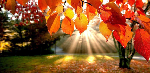 ¿Cuándo se inicia el otoño de 2025?
