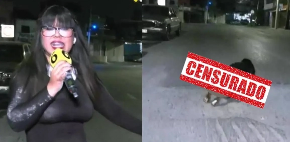 Las mejores tapadas de bache de Robertita