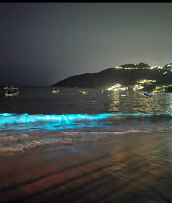 Tras ausencia de turistas la playa de Acapulco lució con un efecto bioluminiscencia 
